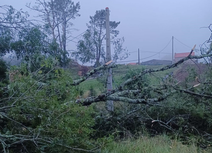 Un supuesto breve tornado arranca varios árboles y cubiertas en Monfero