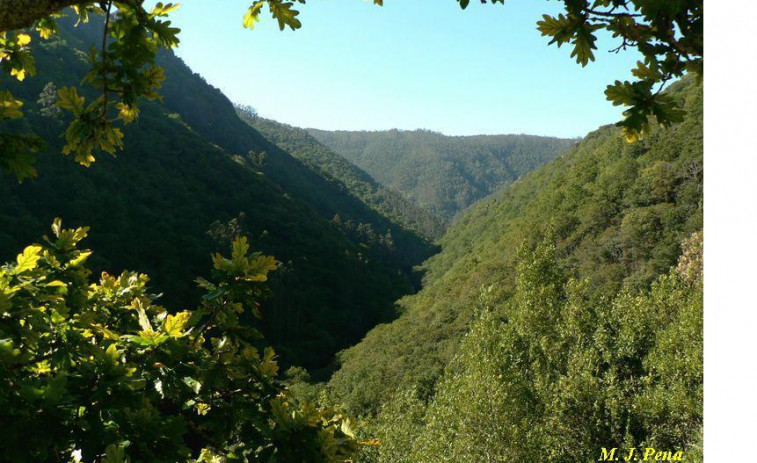 Los Bomberos del Eume evacuaron a una excursionista que se lesionó durante una ruta en A Capela