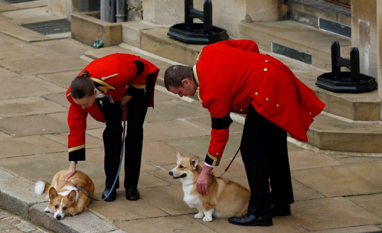 Los corgis de Isabel II no están contentos porque Sarah Ferguson no los saca a pasear