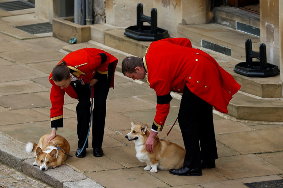 Los corgis de Isabel II no están contentos porque Sarah Ferguson no los saca a pasear