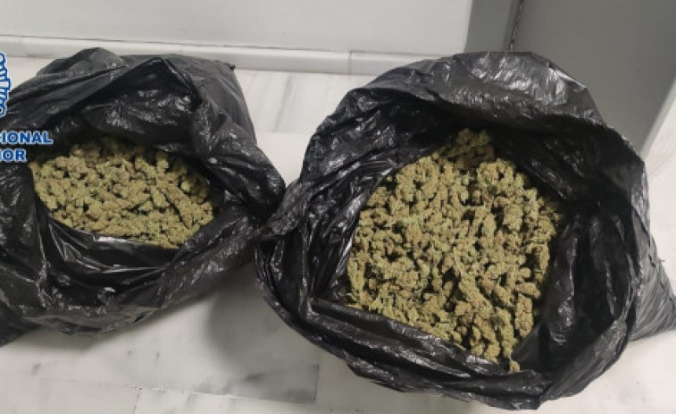 Intervienen 18 kilos de marihuana en paquetes llegados a una empresa de transportes de Lugo