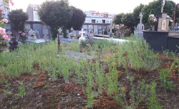 Críticas del PP de Pontedeume por el estado de abandono del cementerio municipal