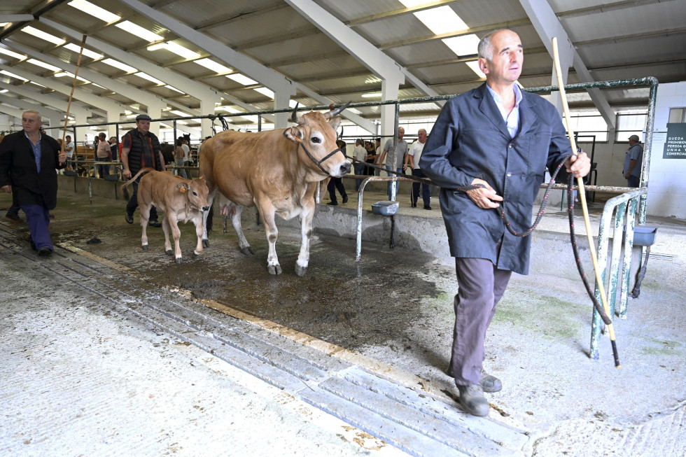 Feira do Gando Vacun de Moeche Emilio Cortizas