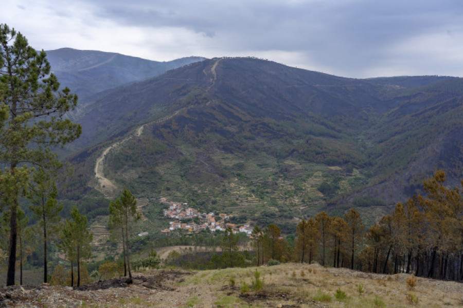 España es el segundo “bosque” más grande de Europa, pero cada vez se vuelve más árido