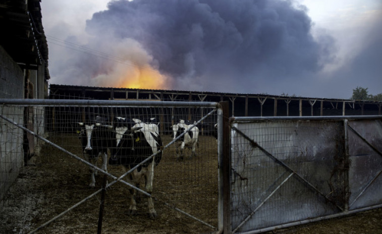 Grecia sigue luchando contra los grandes incendios en todo su territorio