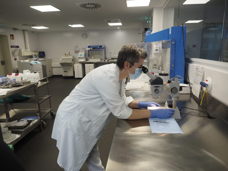 Os laboratorios do CHUF realizaron cinco millóns de análises en 2022