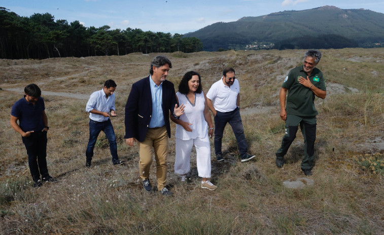 Regeneran el sistema dunar de Morouzos retirando especies como pinos, acacias o eucaliptos