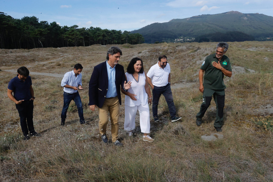 Regeneran el sistema dunar de Morouzos retirando especies como pinos, acacias o eucaliptos