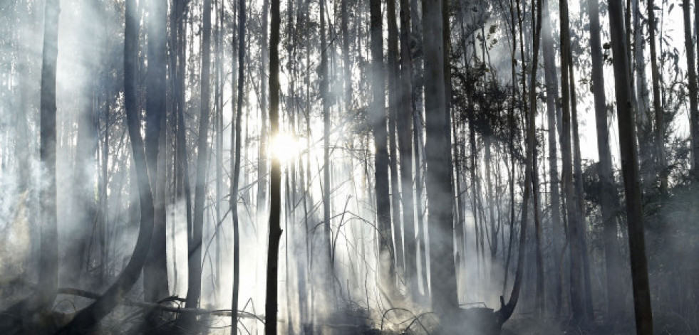 Prohibidas desde este miércoles en Galicia las quemas agrícolas y forestales de particulares hasta nuevo aviso