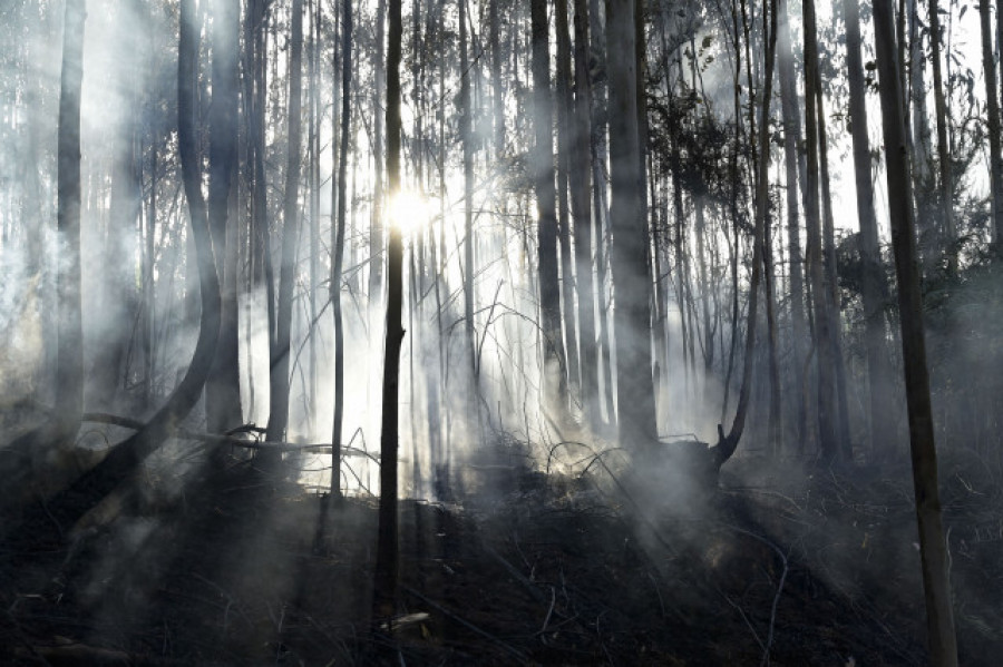 Prohibidas desde este miércoles en Galicia las quemas agrícolas y forestales de particulares hasta nuevo aviso