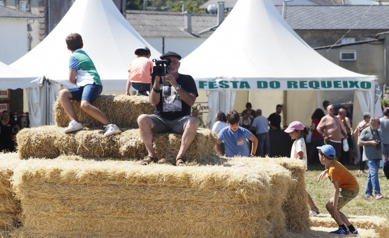 Música e xogos no ExpoFest
