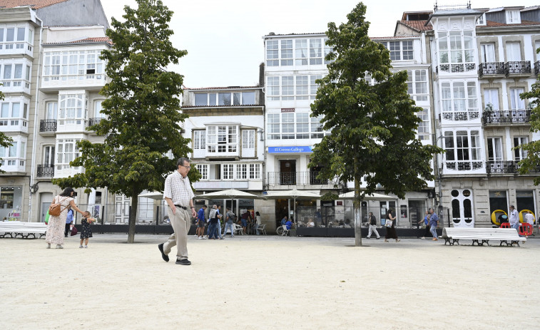 Peligra la conservación de los tilos de la plaza de Armas, afectados por estrés