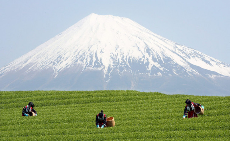 Las autoridades cuestionan el futuro del monte Fuji por el sobreturismo