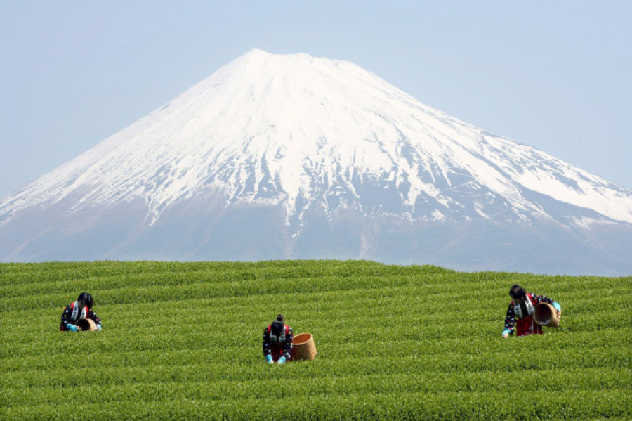 Las autoridades cuestionan el futuro del monte Fuji por el sobreturismo