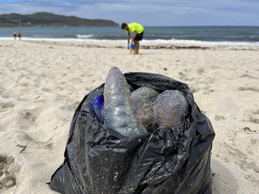 Ferrol cierra sus arenales ante la presencia de carabelas portuguesas