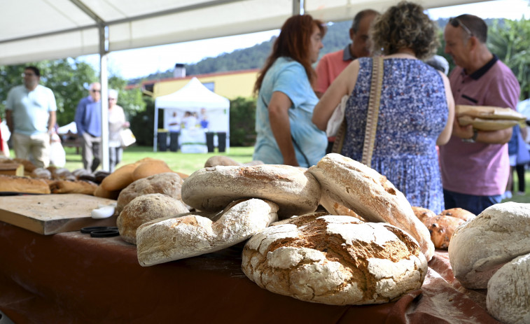 El municipio de Neda se rindió a su receta más famosa en la XXXIII Festa do Pan