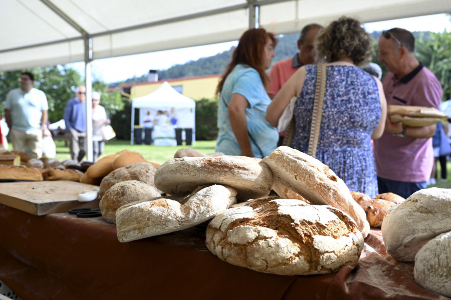 El municipio de Neda se rindió a su receta más famosa en la XXXIII Festa do Pan