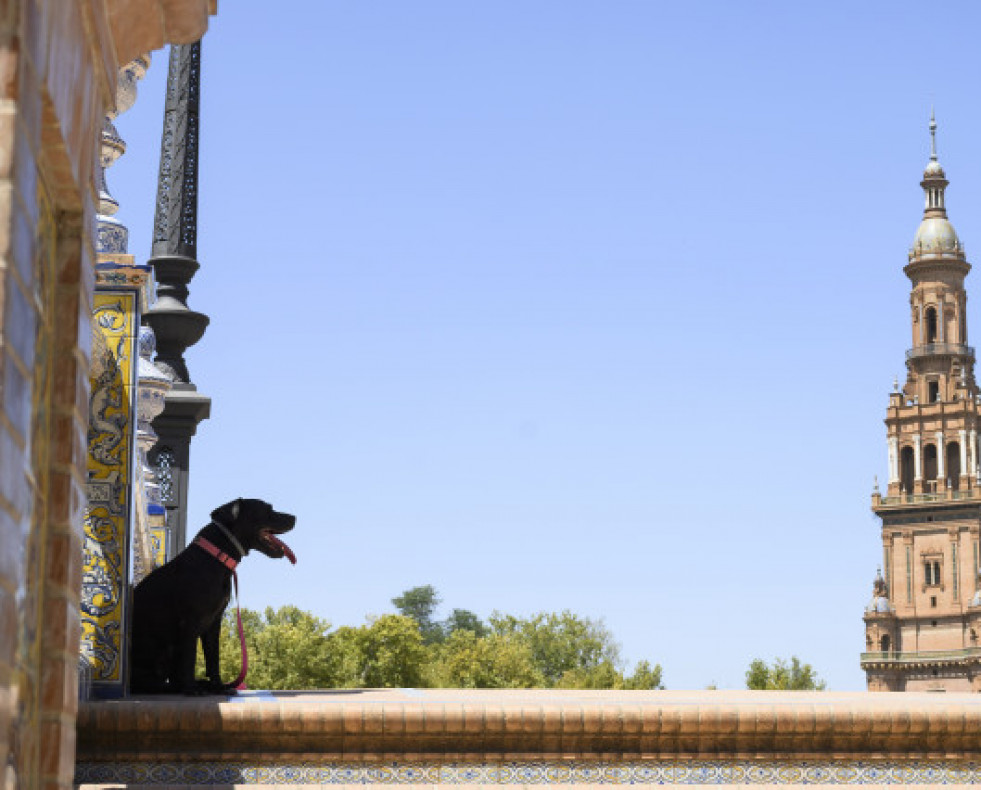 PlazaEspaaSevilla