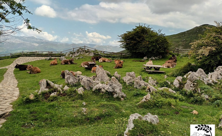 Nace Recursos de Aldea, una nueva asociación relacionada con el rural de Ferrol, Eume y Ortegal