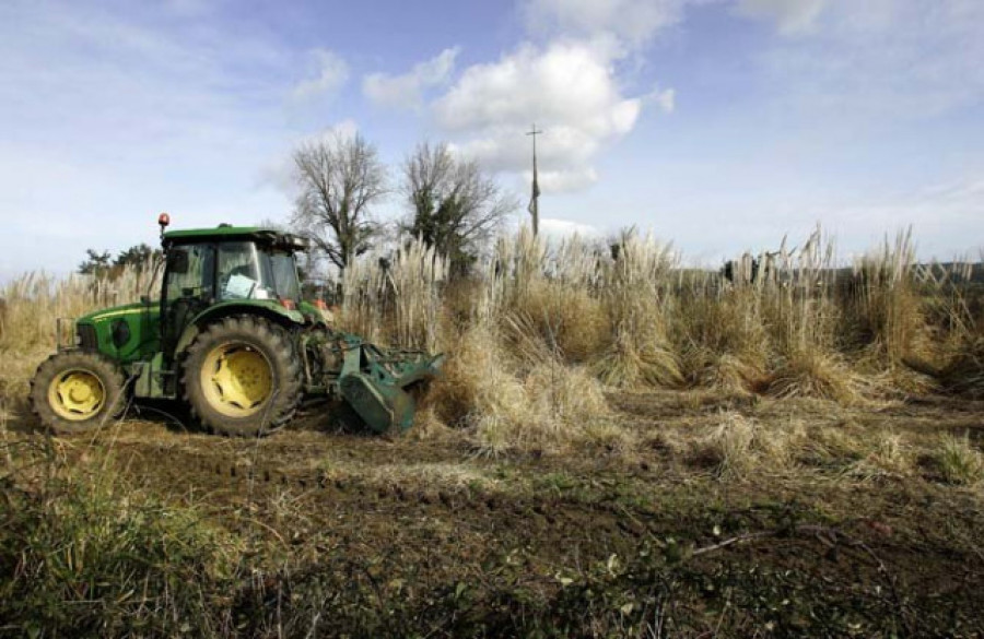 El sector agrario alerta de más plagas por el cambio climático en Galicia