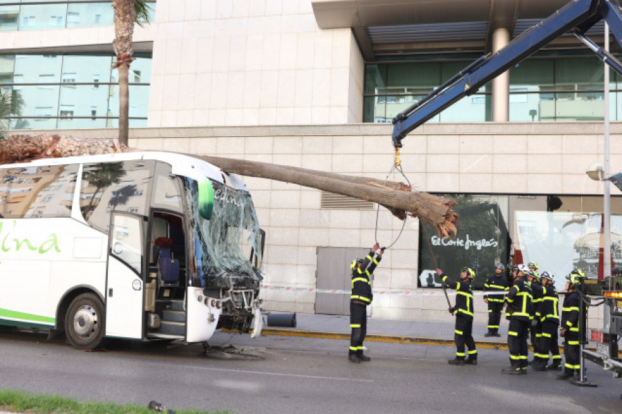 Un autobús se estrella contra un centro comercial en Cádiz y deja tres muertos