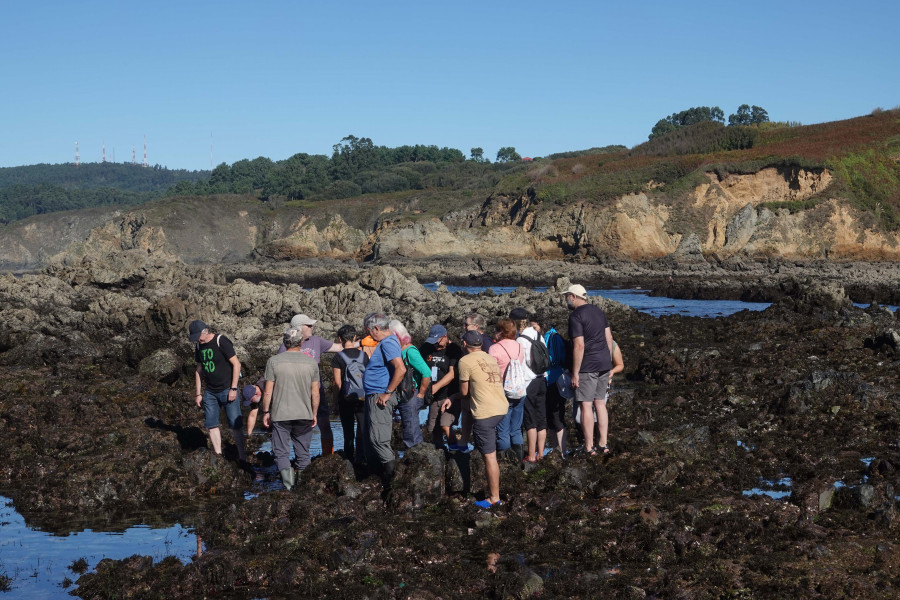 Doniños de día, nueva ruta por el arenal y la laguna del ciclo “Outono Naturalista” de la SGHN