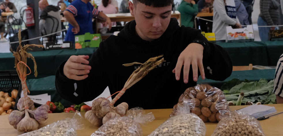 Moeche festexa a Feira da faba