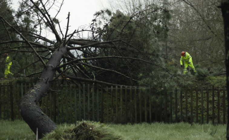 Galicia acumula más de 600 incidencias por el temporal