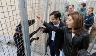 El refugio de animales de Mougá atiende a más de 200 animales, la mayoría perros