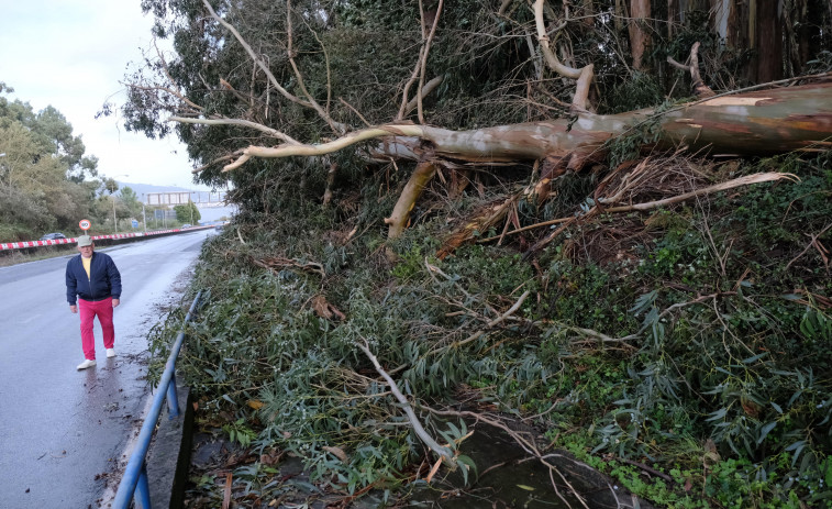 Ferrol continúa en alerta