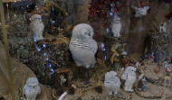 La cristalera de la Navidad volverá a ser el símbolo de las fiestas a partir del  1 de diciembre en Ferrol