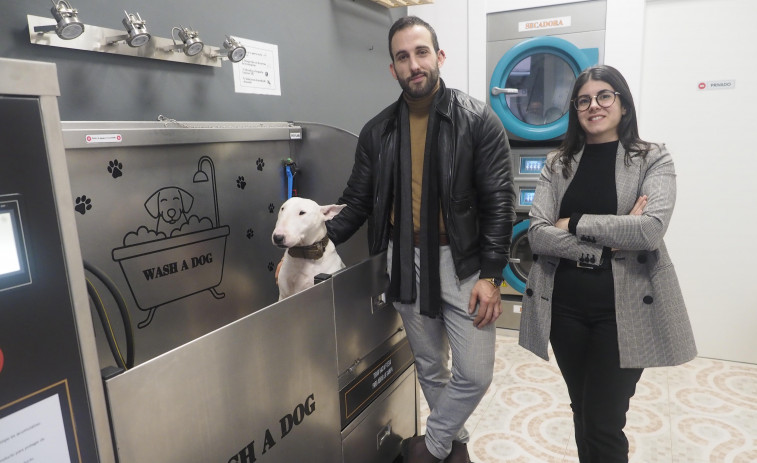 Reportaje | Wash a Dog trae al centro de Ferrol la limpieza de mascotas más conveniente