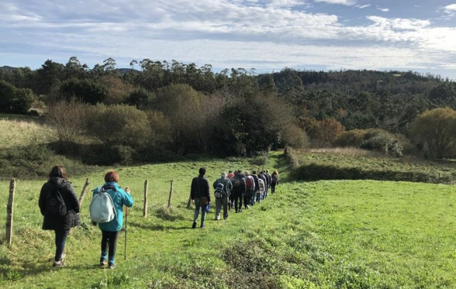 La naturaleza como terapia: el área de psiquiatría del CHUF se apunta al “shinrin-yoku”