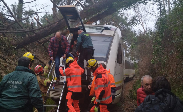 Un árbol caído obliga a evacuar en O Vicedo el tren Ferrol-Oviedo