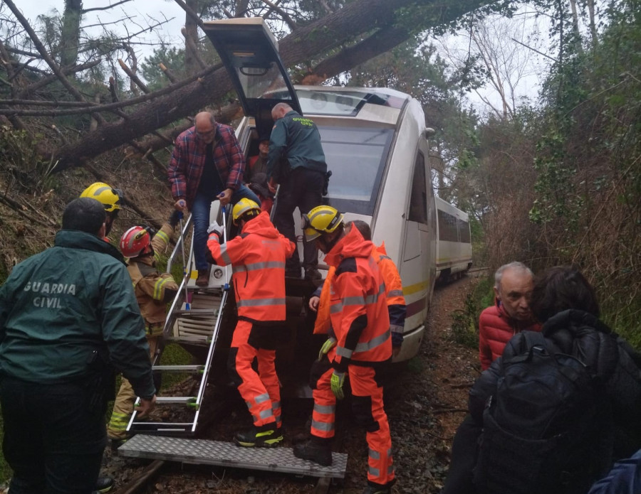 Un árbol caído obliga a evacuar en O Vicedo el tren Ferrol-Oviedo