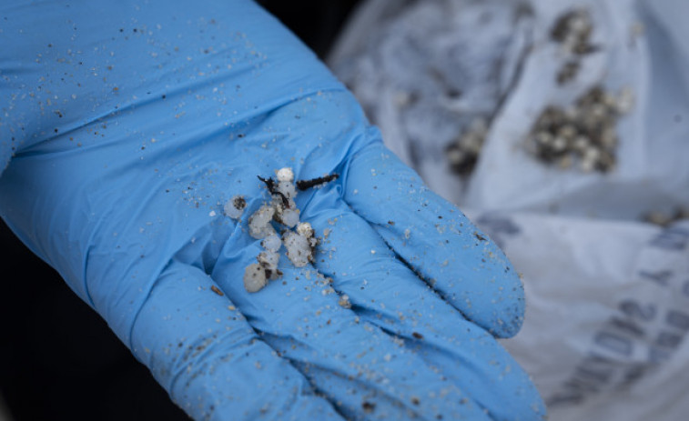 Pescadores de Ferrol creen que la crisis de los pellets se está magnificando y niegan que sea equiparable al Prestige