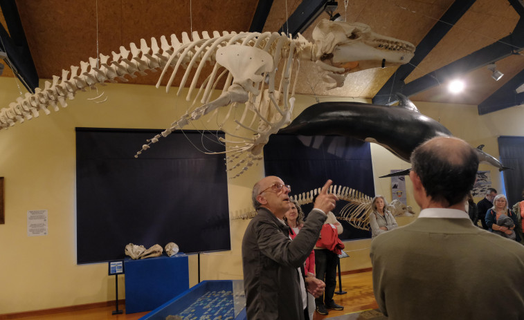 La SGHN de Ferrol dará a conocer sus fondos en la actividad abierta “Quedadas no Museo”