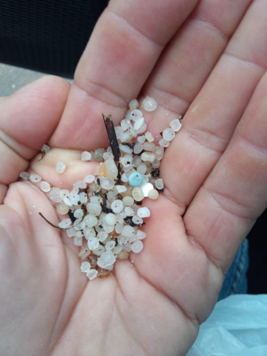 La Xunta vuelve a pedir información al Gobierno sobre el impacto de la crisis de pellets