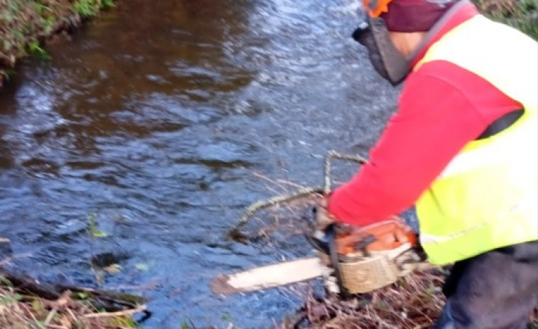 La Xunta acomete tareas de limpieza en varios tramos del río Condomiñas, en Cedeira