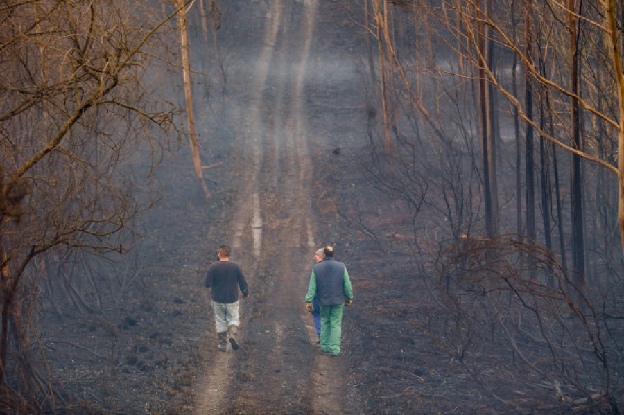 Estabilizado el incendio forestal de Trabada en Lugo, que afecta a 190 hectáreas