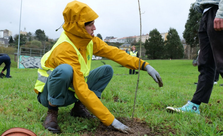 Plantan un bosque con 120 árboles en el entorno del skate park de A Malata