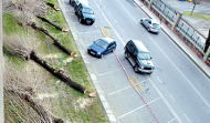 Hace 20 años | Talan 30 chopos para mejorar las vistas desde el Baluarte
