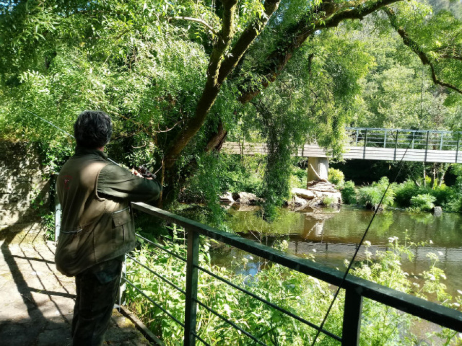 Publicadas las fechas de pesca de río en Galicia para este año