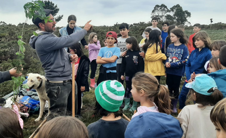 Nuevas manos para llenar de árboles autóctonos los montes de Cha