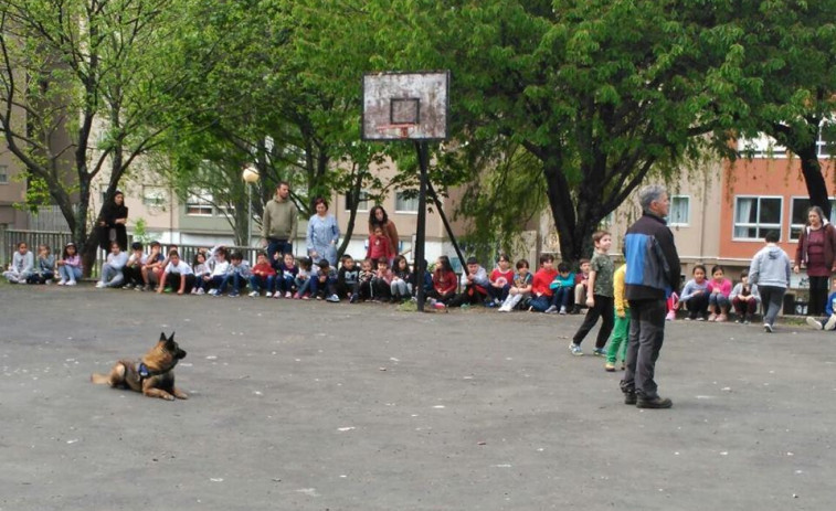 “Canvivindo”, el programa de Casaga que fomenta el amor por los animales
