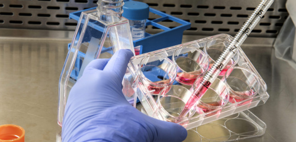 La inteligencia artificial, al servicio de la investigación en enfermedades raras