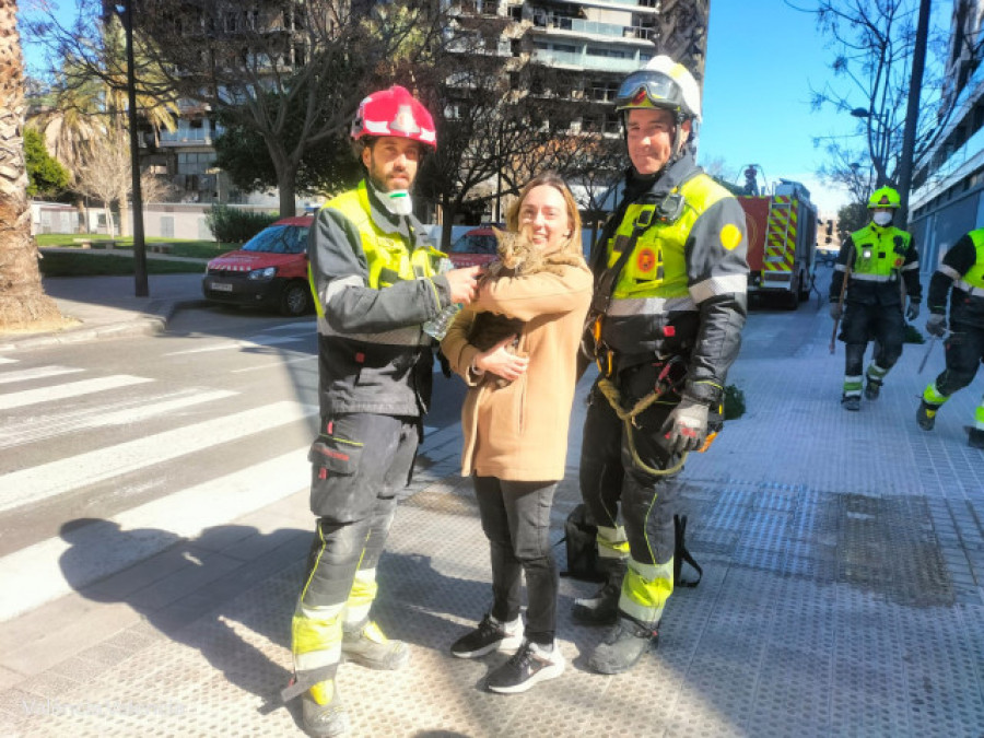 Los Bomberos rescatan con vida a un gato ocho días después del incendio del Campanar