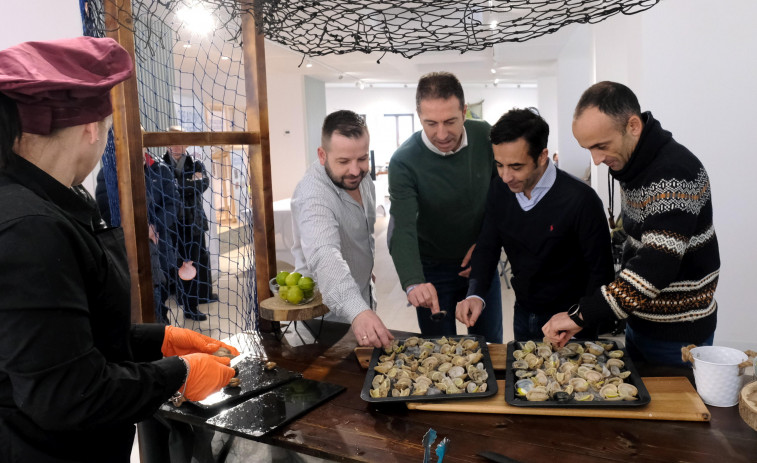 La almeja babosa de la ría de Ferrol, mil y una formas de degustar un producto propio