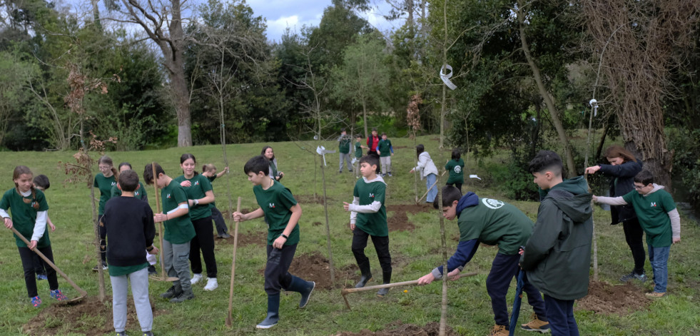 Escolares del CPR Santiago Apóstol plantan árboles en la senda entre Freixeiro y Xuvia