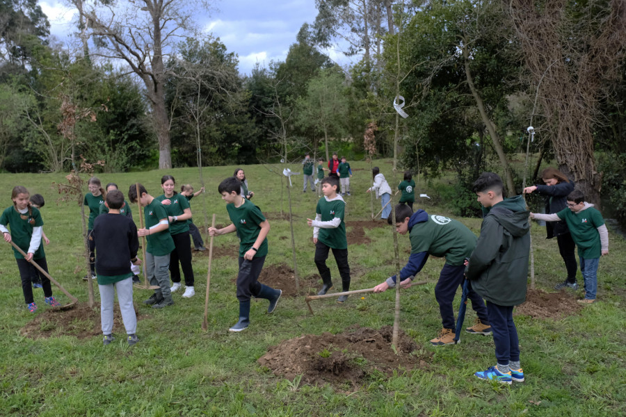 Escolares del CPR Santiago Apóstol plantan árboles en la senda entre Freixeiro y Xuvia